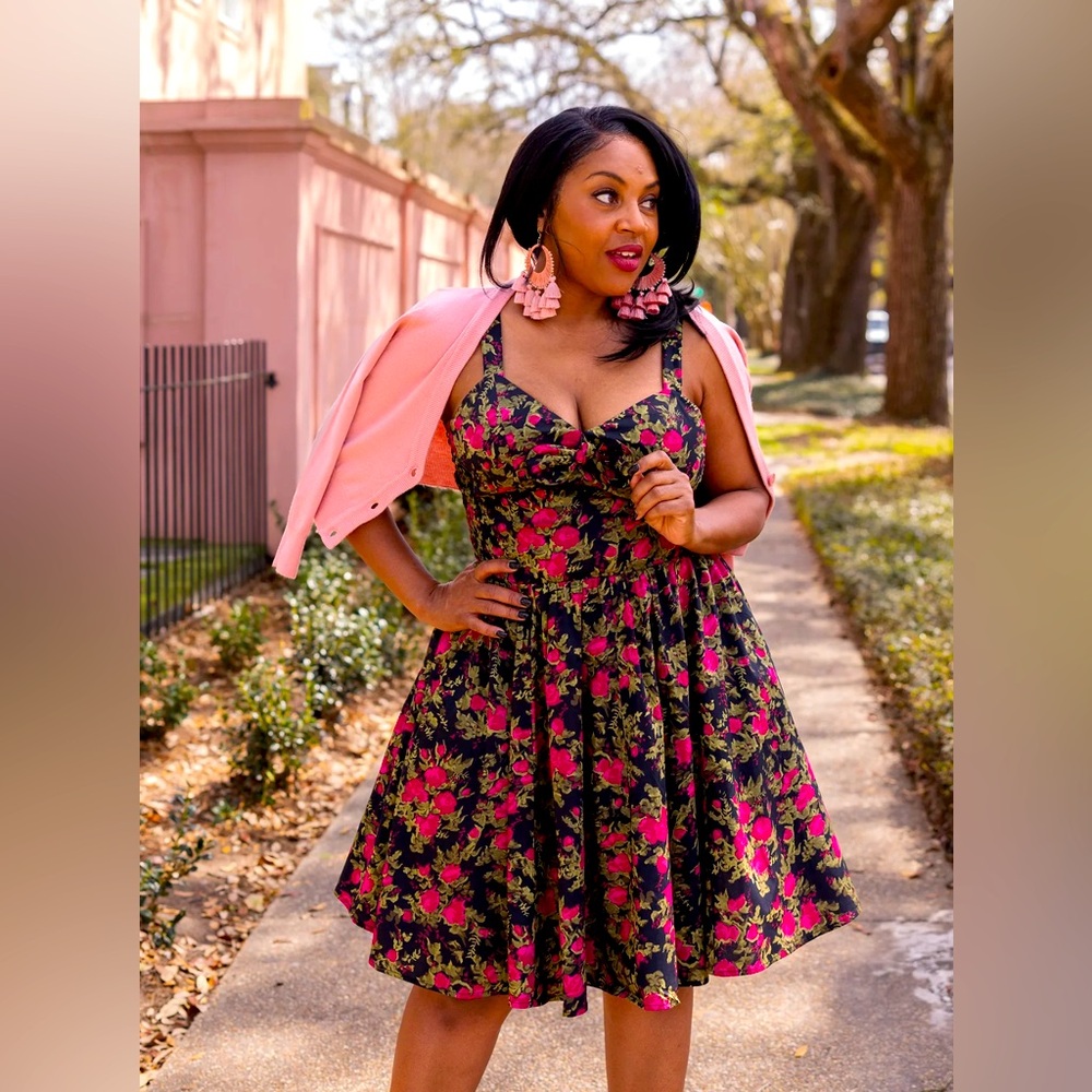 NWT Trashy Diva Fairytale Rose Hottie Dress, size 8! With pockets!